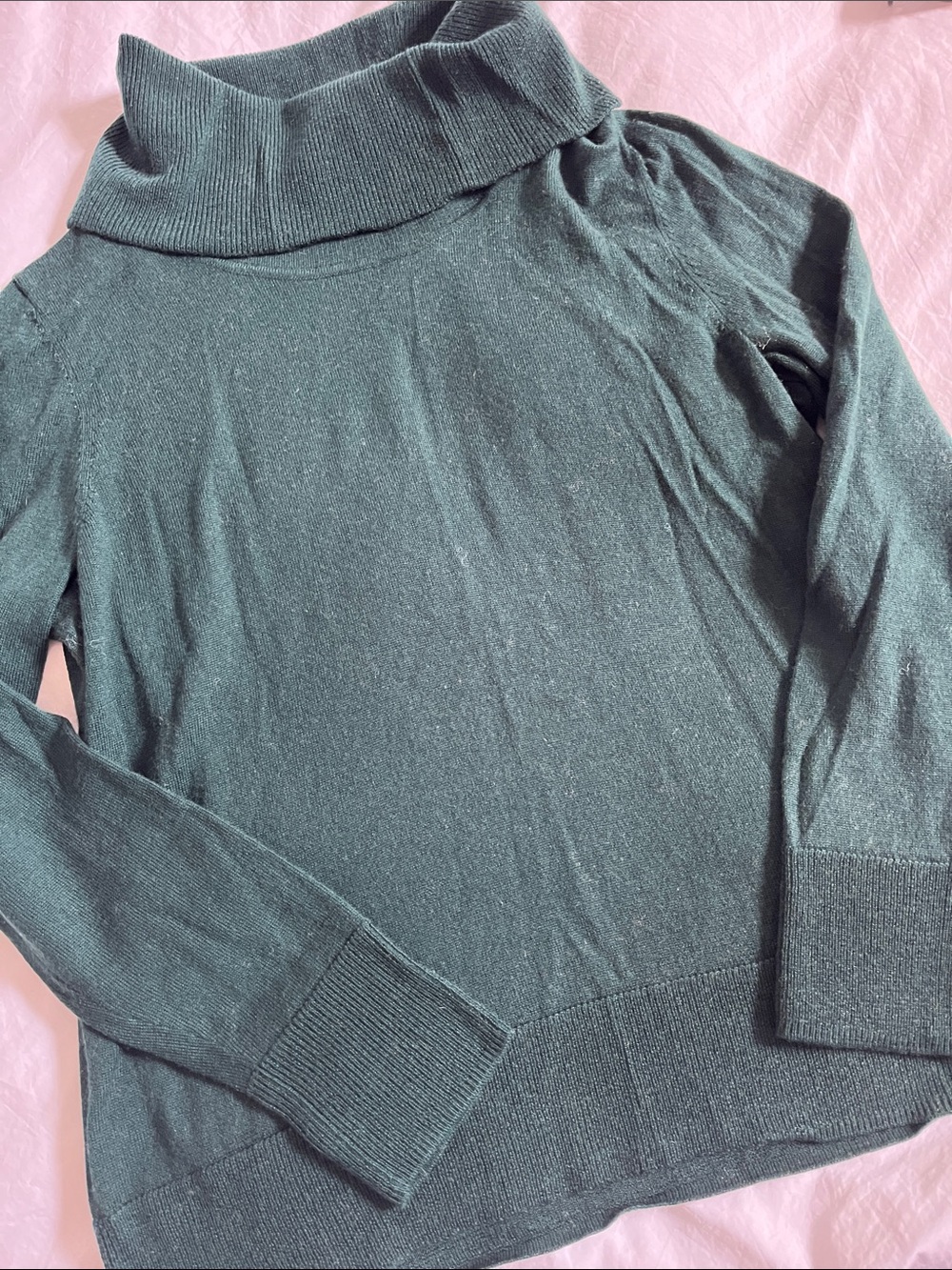 TALBOTS Pure Merino Wool Forest Green Turtleneck size large fall winter layering